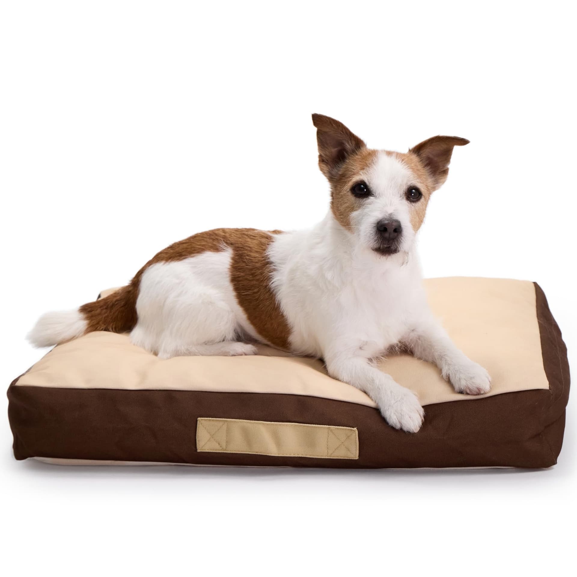 Rawry Orthopedic Dog Bed | Memory Foam Dog Bed with Handle | Water-Resistant, Machine Washable Cover | Floor Cushion for Cats, Dogs & People - Tan/Brown (Small - 24" x 18")